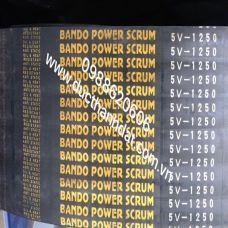 DÂY CUROA BANDO POWER SCRUM 5V-1250
